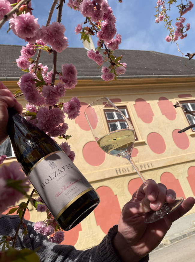 Frühlingsstimmung am Weingut Holzapfel