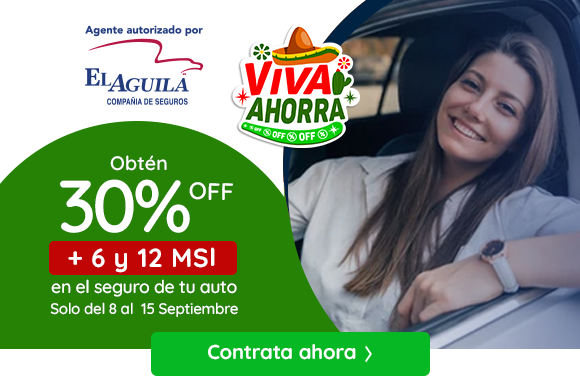 30% de Descuento +6 y 12 Meses sin Intereses
