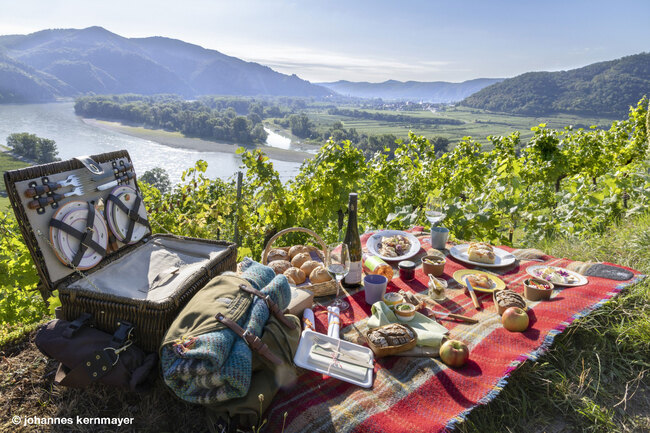 Picknick in der Wachau